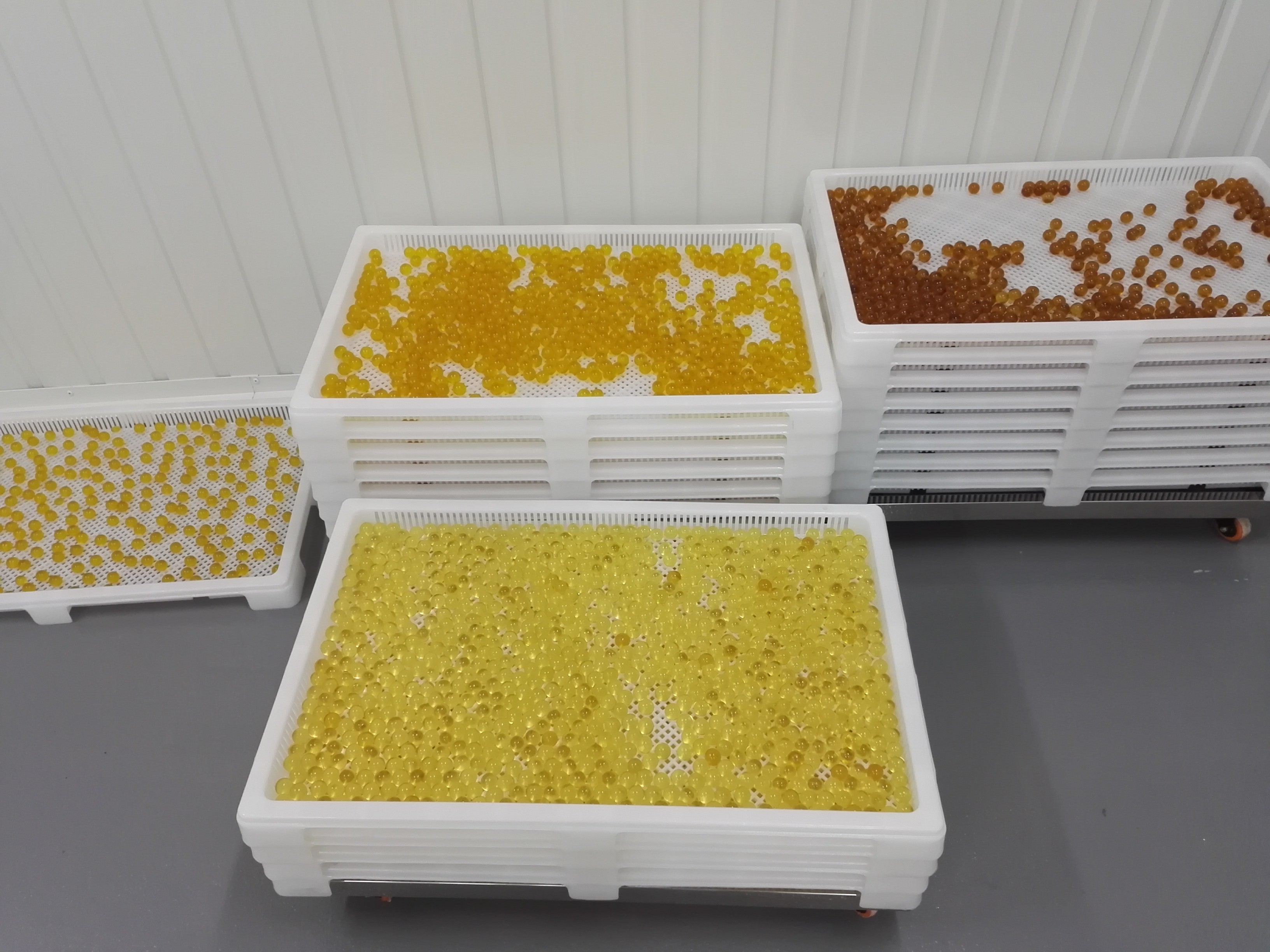 Food Grade Plastic tray and trolly with size 750*550*45 for drying in discoult