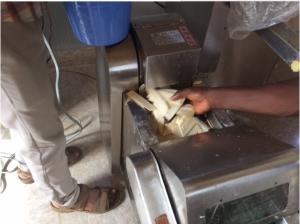 China stainless steel plantain yam potato chips cutting machine YQC600 model wholesale