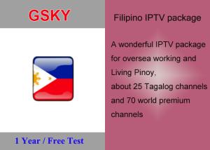 China Best Philippines /World Premium package for worldwide Pinoy wholesale