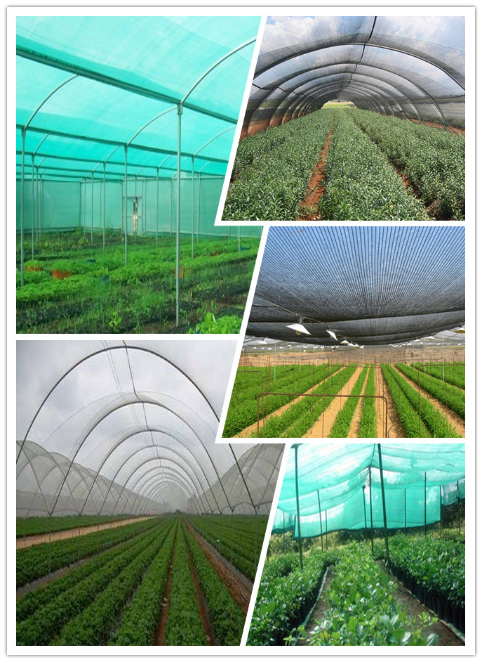HDPE Agriculture Sun Shade Netting 70% 90% For Green House