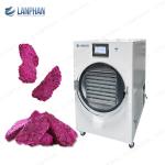 Freeze Dryer Equipment Fruit candy Meat Freeze Dryer 220V Freeze Dry Machine