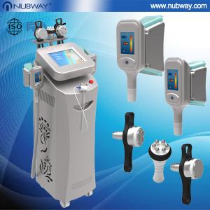 China Best cryolipolysis for beauty salon use / cryolipolysis rf vacuum wholesale