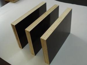 China Film faced plywood price for kuwait from Qingdao China port, construction wood panel wholesale