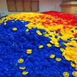 Plastic 36Kg 50m Swimming Pool Lane Lines