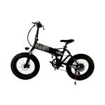 Aluminum 20 Inch 750w Full Suspension Fat Tire Ebike