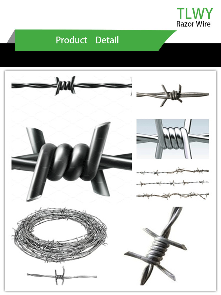 Anti Alkali Military Security Barbed Wire Fencing BWG 12x12