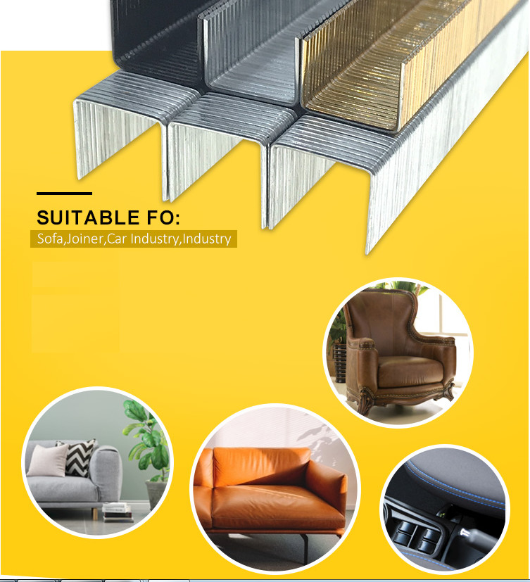 Staples 80 Staple 80 Series Staple 21Gauge Galvanized Nails Fine Wire Staples Sofa 80 Staple Pin 800