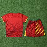 2025 Cameroon Children Away Football Jersey Customized Team Uniforms