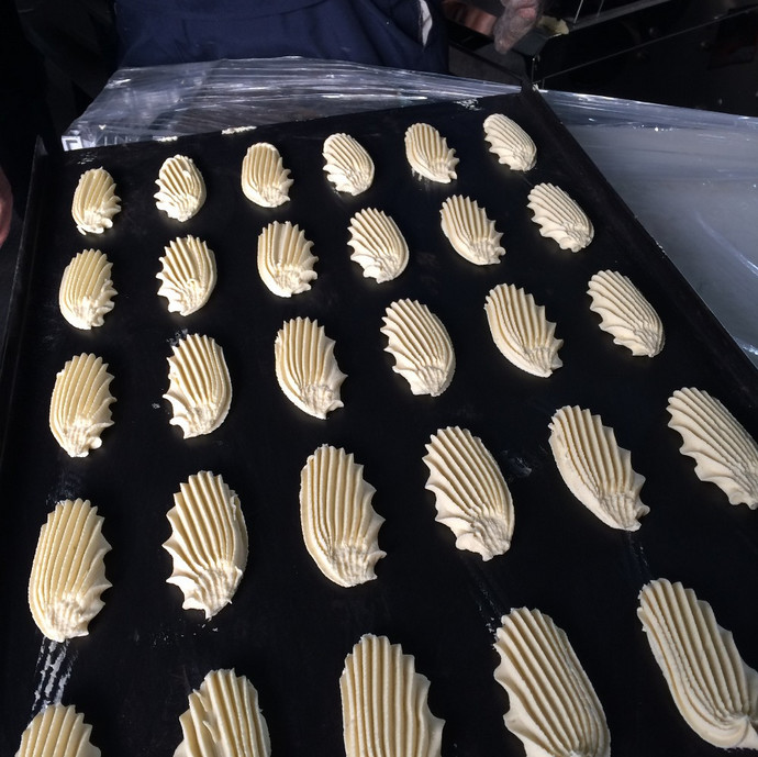 Full Automatic functional small biscuit making machine/machine biscuit/biscuit cookie machine