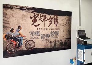 China 720*1440DPL 30sqm/h 3D Wall Inkjet Printer Tx800 Nozzle wholesale