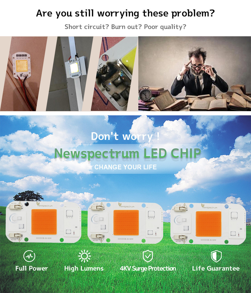110V 220V AC LED Module COB Chip No Welding For Indoor Plant Seedling Grow