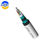 Double Armored Anti Rodent Fiber Optic Cable Nylon Out Jacket Anti Termite