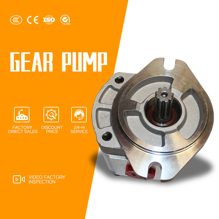 Portable Stainless Steel Electric 110V 220V Gear Pump for Food Grade Lube Oil Transfer