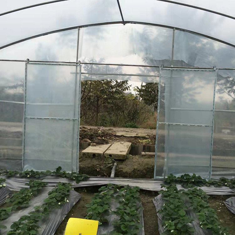 Polyethylene Film Greenhouse Agritulture Tunnel Plastic Greenhouse For Plant Growth
