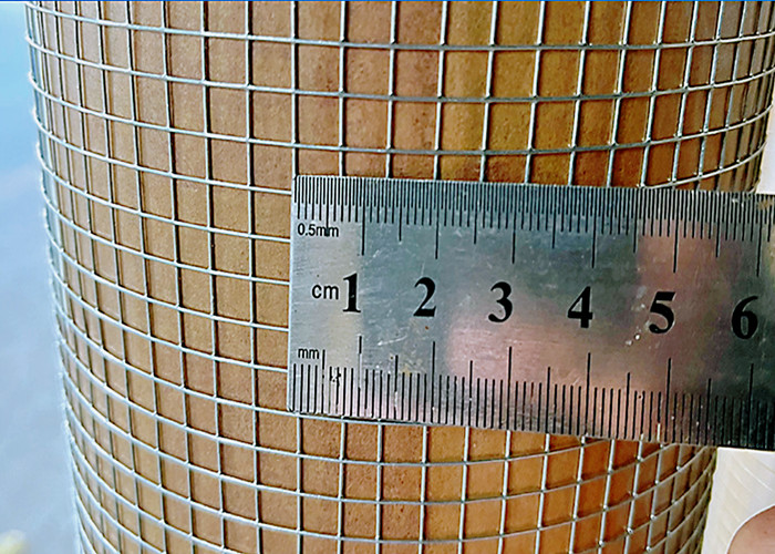 Hot Dipped Galvanized Welded Wire Mesh Mesh Size 1/4"X1/4" Width 0.5m 2m With Good Reputation