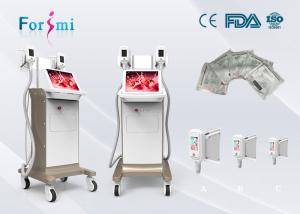 China ultrasound fat reduction 1800 W Cryolipolysis Slimming Machine FMC-I Fat Freezing Machine wholesale