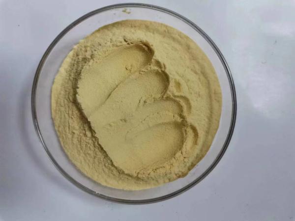 Compound Herbal Peptides Plant Extracts Phytogenic Feed Additive In Animal