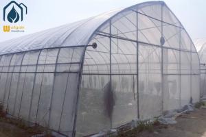 China OEM Easily Assembled Tunnel Greenhouse Small Vegetables Farming Greenhouse wholesale