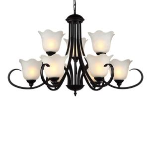 China Rot Black iron chandeliers for farmhouse hotel lighting fixtures (WH-CI-94) wholesale