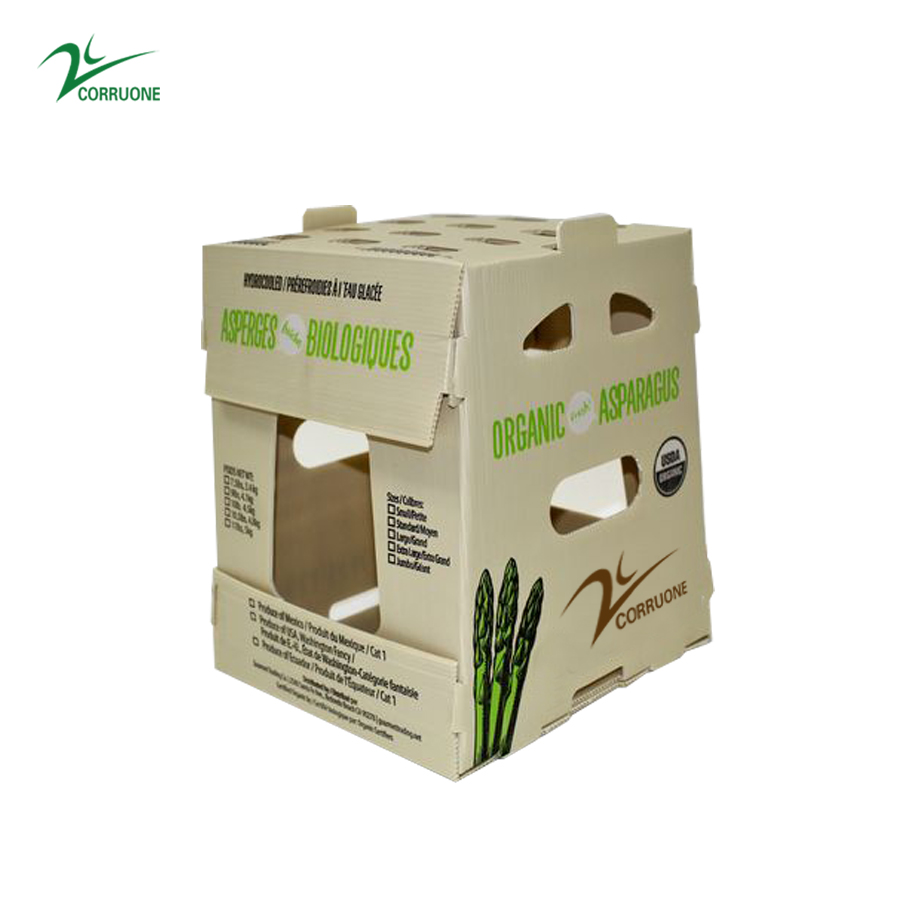 2mm 3mm Asparagus Folding Corrugated Plastic Boxes Polypropylene PP