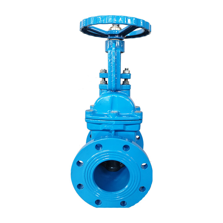 Ductile Iron PN10 Metal Seated Valve GG25 Cast Iron Gate Valve