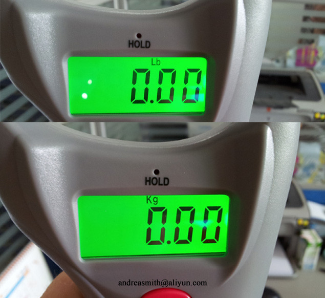 ABS Plastic Fishing Weight Scale 10g Division With Over Load Indication