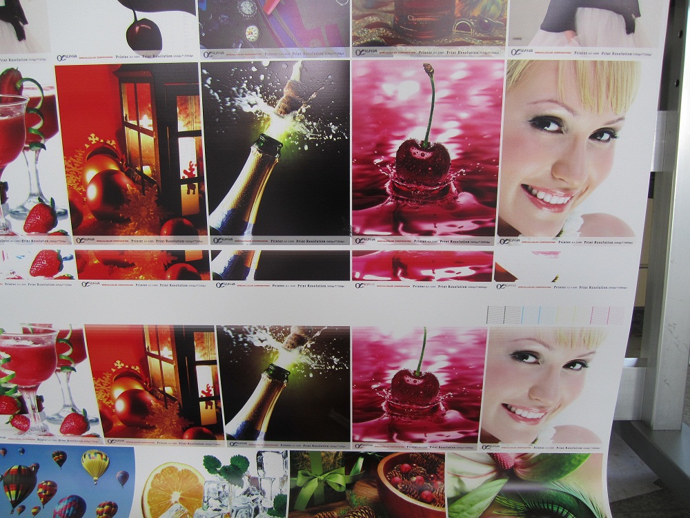 ALPHA DX5 Print Head Eco Solvent Printer China Supplier