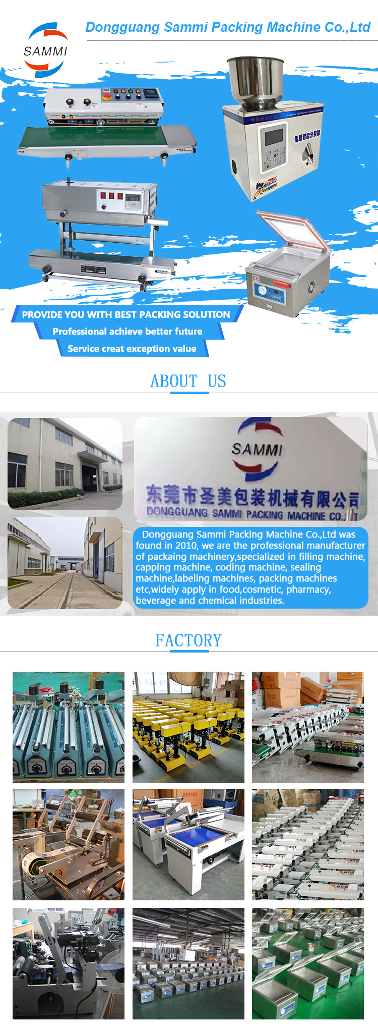Multi Function Automatic Packing Machine For Small Sachets Spice Powder 100G