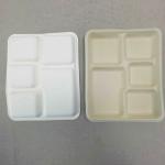 100% Biodegradable Sugarcane Pulp 5 Compartment Tray Natural Bagasse Eco