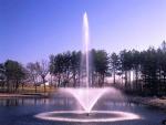 Graphic Design Garden 800mm Stainless Steel Water Fountain