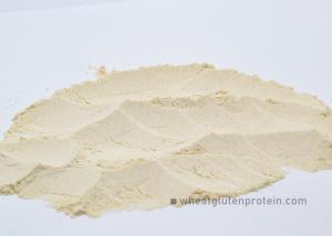 China Baking Foods Ingredient Vital Wheat Gluten Physical Extraction wholesale