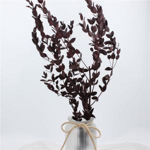 China Modernization Style Preserved Foliage Green Environmental Protection wholesale