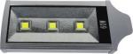 60 W street light