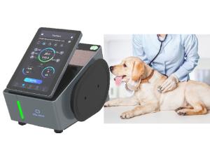 China 980nm Veterinary Laser Therapy Machine Four Wavelength 650nm wholesale