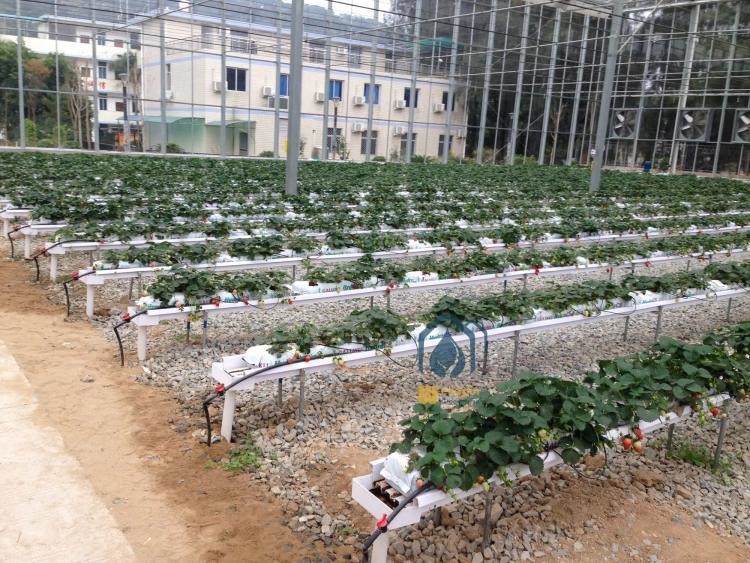 PVC Substrate Planting Gutter Hydroponics For Strawberries And Tomatoes Planting