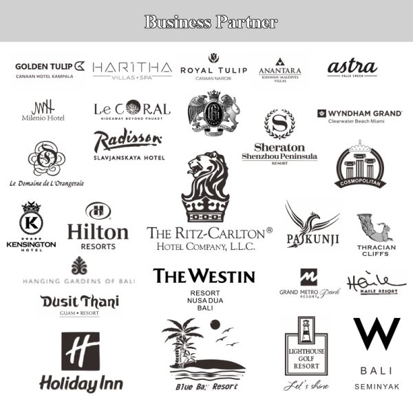 100% cotton hotel living bedding 500 thread count for hotel