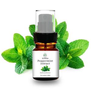 China CAS 90063 97 1 Natural Hydrosolpure Peppermint Extract Itchy Skin Treatment wholesale