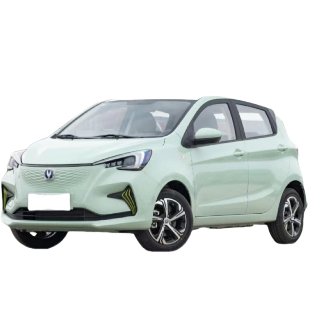 Green Color Mini EV Cars Changan Benben Ev 300KM Max Speed 101 Km/H