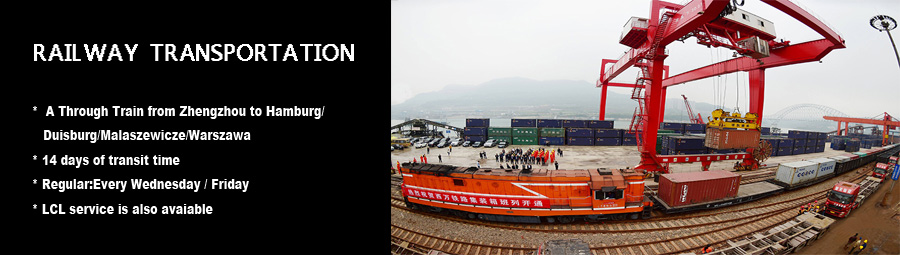Special Service Sea Freight Logistics To Mexico With Collect Service