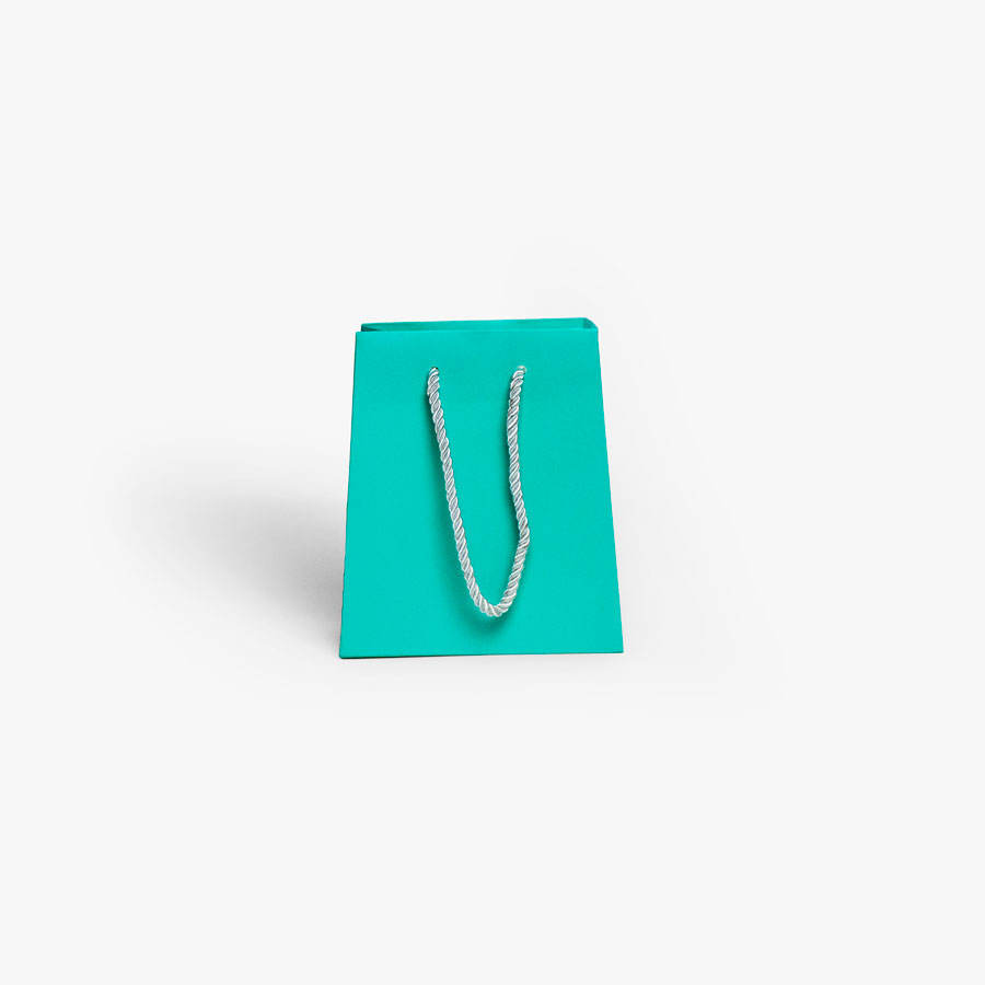 CMYK Partone Shopping Gift Bag for Custom Design 250 Gsm Art Paper Clothes Packaging