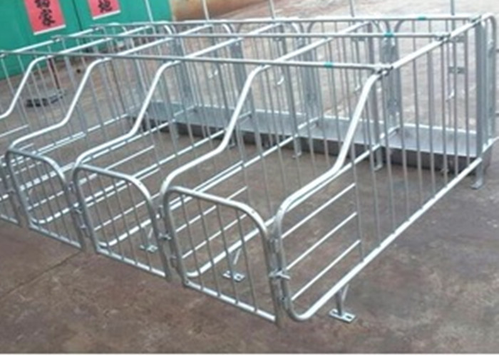 Hot Dip Galvanizing Hog Gestation Crates Customized Pif Farm Stall With Different Size