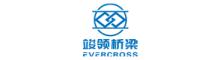 China EVERCROSS BRIDGE TECHNOLOGY (SHANGHAI) CO.,LTD. logo