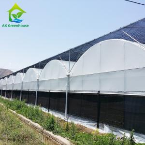 China Commercial Customized Multi Span Agricultural Film Poly Tunnel Vegetable Greenhouse wholesale