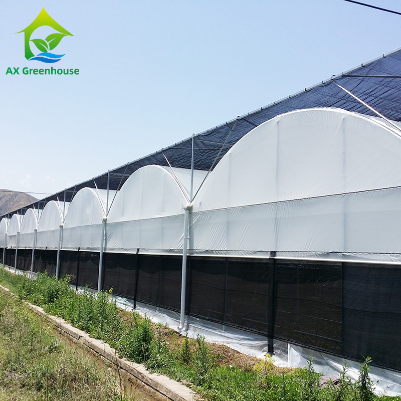 Smart Light Deprivation Multi-span Black Shade Film Greenhouse