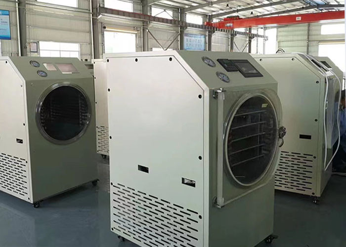4Kg 6Kg Mini Home Portable Freeze Dryer Cycle 20-24 Hours