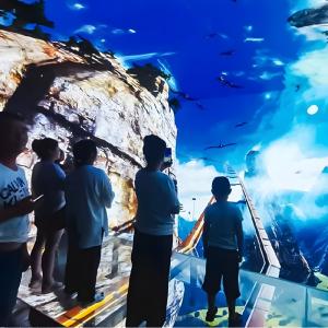 China Customization Multimedia 5 Fold Large Screen Holographic Hanging Glass Cinema wholesale
