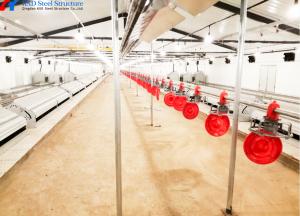 China Silo Galvanized Poultry House Equipment Automatic Broiler Chicken Poultry Farm wholesale