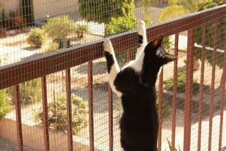 Customized Mesh Size 10m X 3m White Balcony Protection Knotted Netting Cat Safety Net