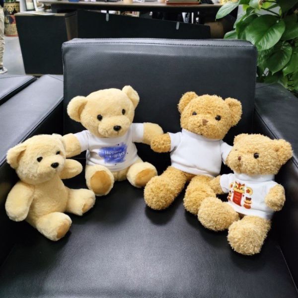 DIY Custom Stuffed Toy Sublimation Blank Teddy Bear Plush Toy With Printable White T Shirt