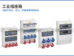 Combined Industrial Socket IP66 32A Weatherproof Distribution Box